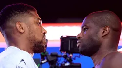 Está todo listo para que Anthony Joshua y Daniel Dubois se vean las caras en Wembley.