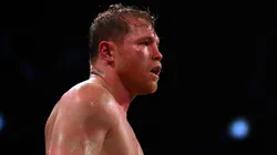 Canelo Álvarez se quedaría sin una millonada por no enfrentar a Terence Crawford.