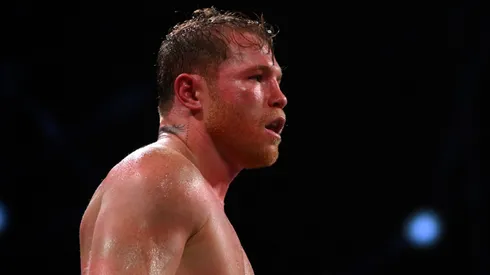 Canelo Álvarez se quedaría sin una millonada por no enfrentar a Terence Crawford.