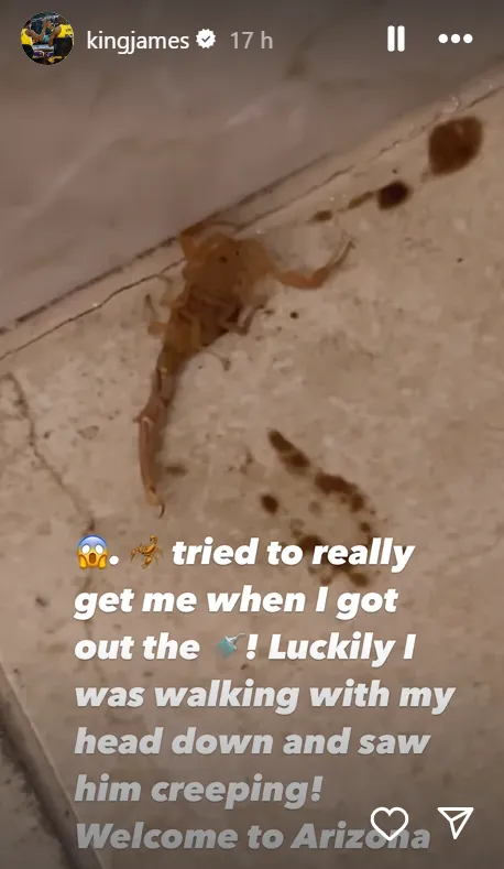 La historia que publicó LeBron James en Instagram