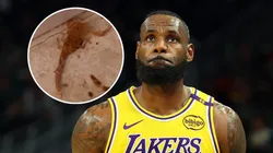 LeBron James pasó un gran susto con un escorpión