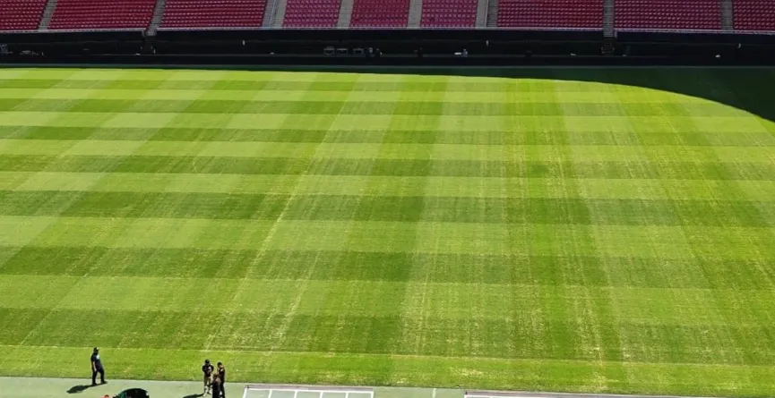 Así está el césped el Estadio Akron. (Récord – Alfredo Olivarez Ramírez)
