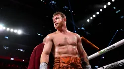 Canelo Álvarez recibió una importante respaldo de una figura del boxeo.
