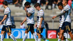 Los Felinos quedaron eliminados al caer como locales por 5-3.