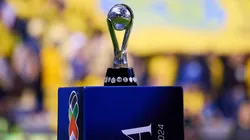 24 equipos lograron ser campeones de la Liga MX en el profesionalismo.