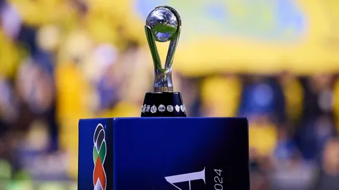 24 equipos lograron ser campeones de la Liga MX en el profesionalismo.
