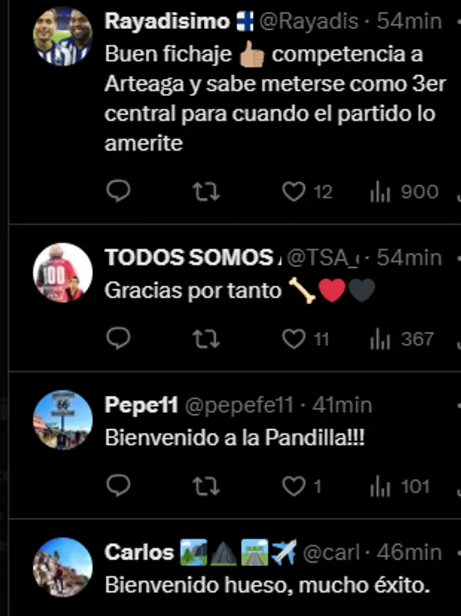 Varios de los mensajes de los aficionados (Captura).