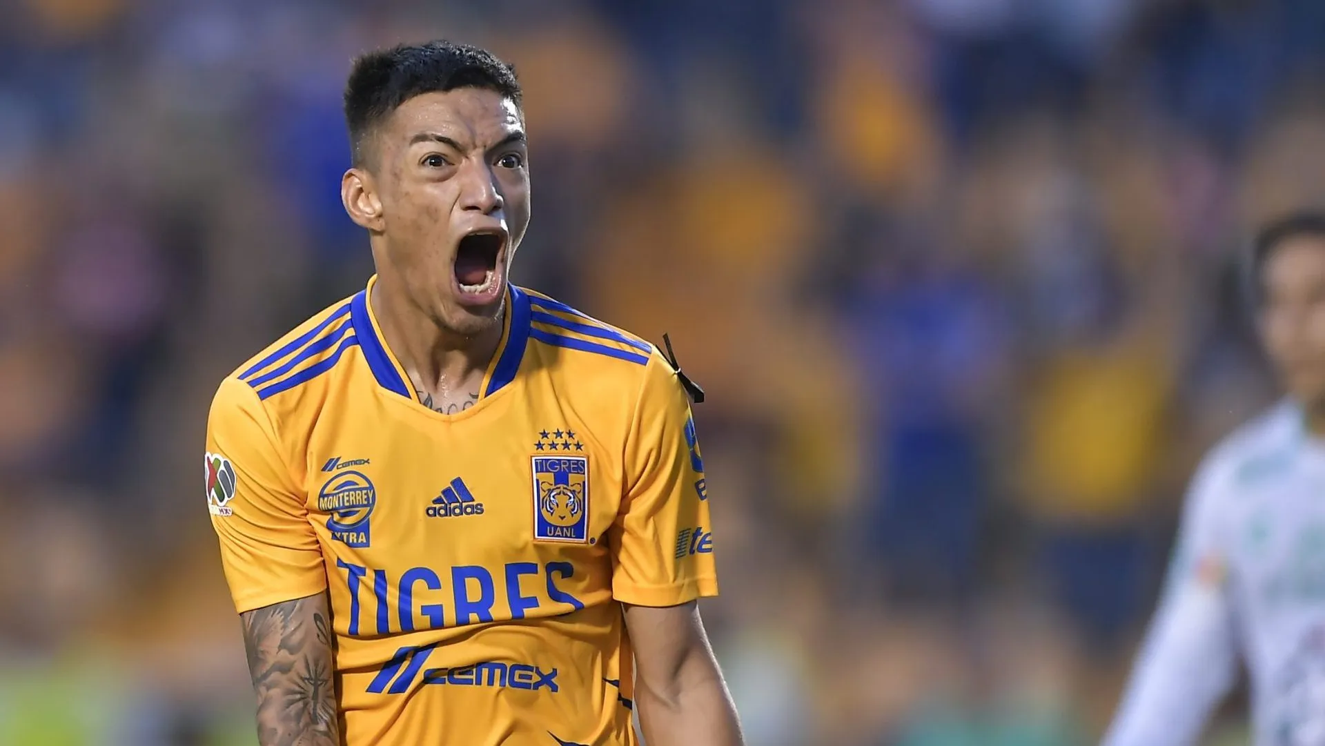 ¿Harbá reconciliación entre Raymundo Fulgencio y la afición de Tigres? (Getty Images)