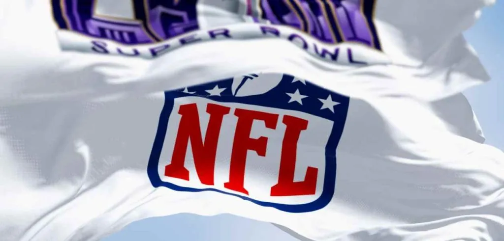 Bandera blanca con logo NFL