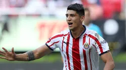 Alan Pulido no juega ante Tigres