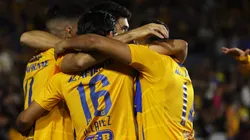 Los Felinos darán su primer paso en un torneo que han conseguido ganar en una oportunidad.