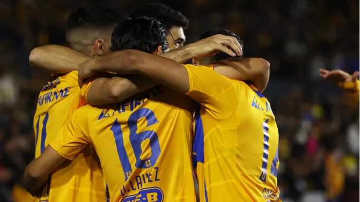 Los Felinos darán su primer paso en un torneo que han conseguido ganar en una oportunidad.