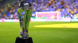 Diez equipos siguen con vida de cara al sueño de conquistar el título de campeón de la Liga MX.