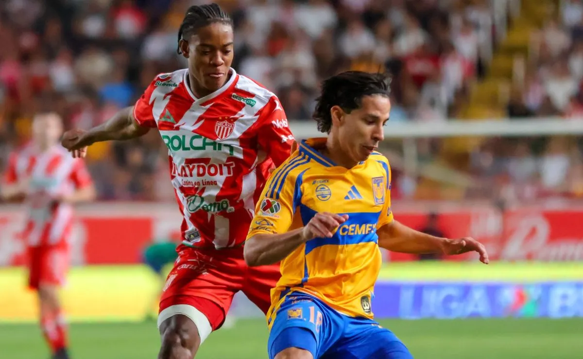 Las alineaciones de Tigres vs. Necaxa por la Liguilla del Clausura 2025 ...