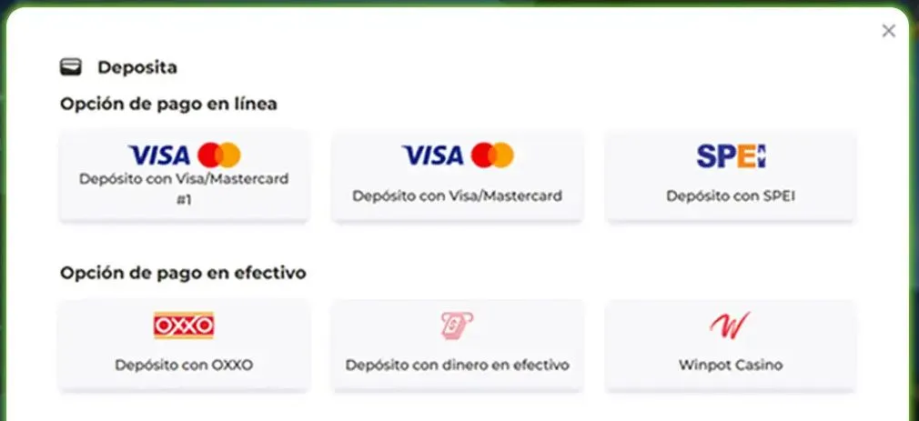 Métodos de pago Winpot