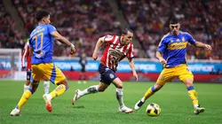 Chivas y Tigres no se enfrentarán este fin de semana
