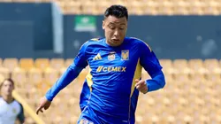 Fue uno de los dos refuerzos que contrató Tigres en el Mercado de fichajes.