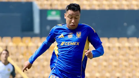Fue uno de los dos refuerzos que contrató Tigres en el Mercado de fichajes.