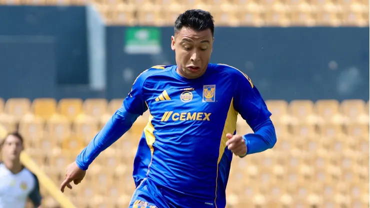 Fue uno de los dos refuerzos que contrató Tigres en el Mercado de fichajes.