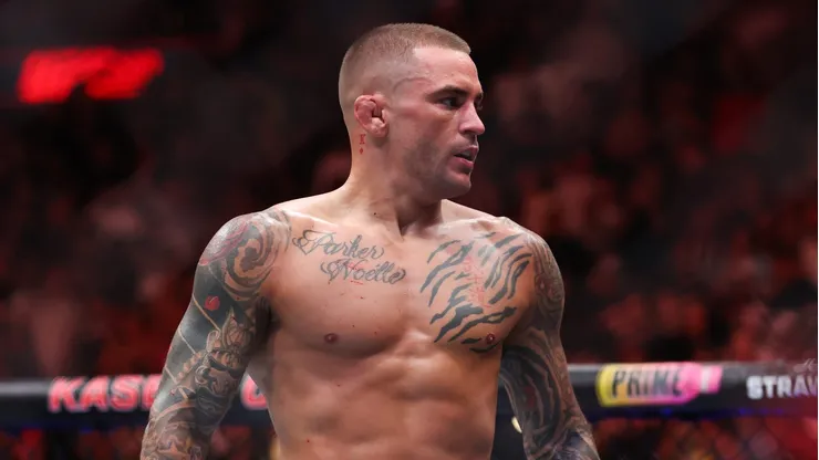 Este sábado 20 de septiembre no habrá acción de ningún tipo en UFC.