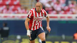 Javier Hernández debió pedir disculpas tras ser acusado de dichos machistas