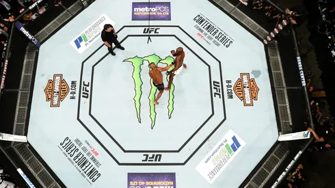 El ranking del peso mosca en la UFC busca sumar nuevos retadores al título.