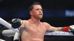 Canelo Álvarez recibió un duro golpe en sus aspiraciones a futuro.