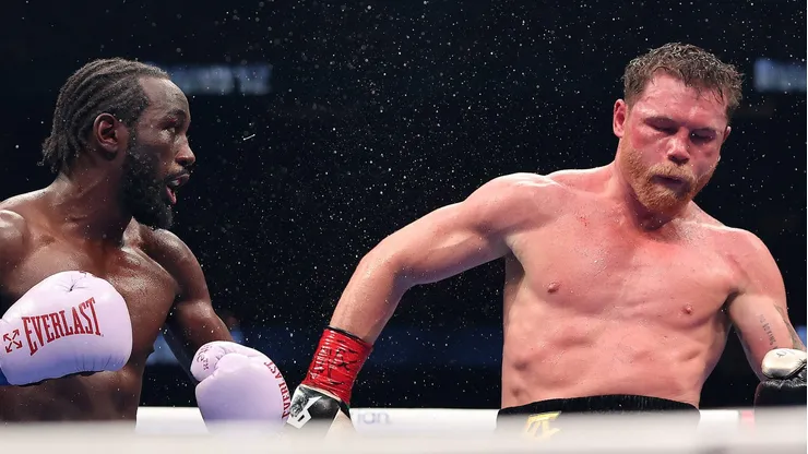 Canelo Álvarez regaló una curiosa reacción en la pelea con Terence Crawford.