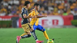 Pumas y Tigres, un encuentro muy atractivo.