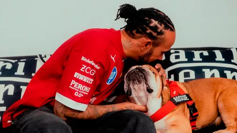 Lewis Hamilton se despidió de su perro Roscoe
