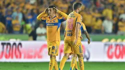 Tigres celebró en el 'Volcán' ante su público.