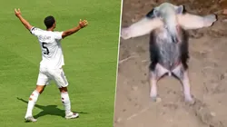 Jude Bellingham volvió a convertir para darle la victoria al Real Madrid.