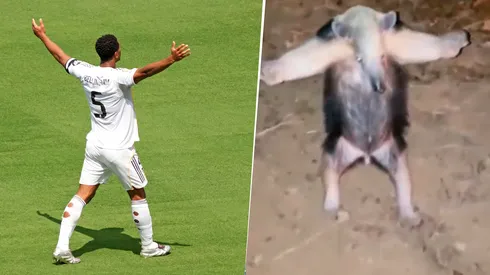 Jude Bellingham volvió a convertir para darle la victoria al Real Madrid.