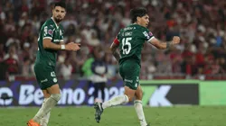 Palmeiras busca una nueva alegría en la copa.