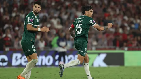 Palmeiras busca una nueva alegría en la copa.
