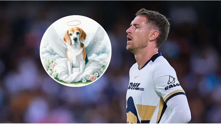 Aaron Ramsey se despidió de su perra, Halo
