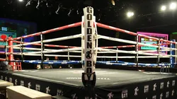 El boxeo fue duramente criticado por una importante figura.