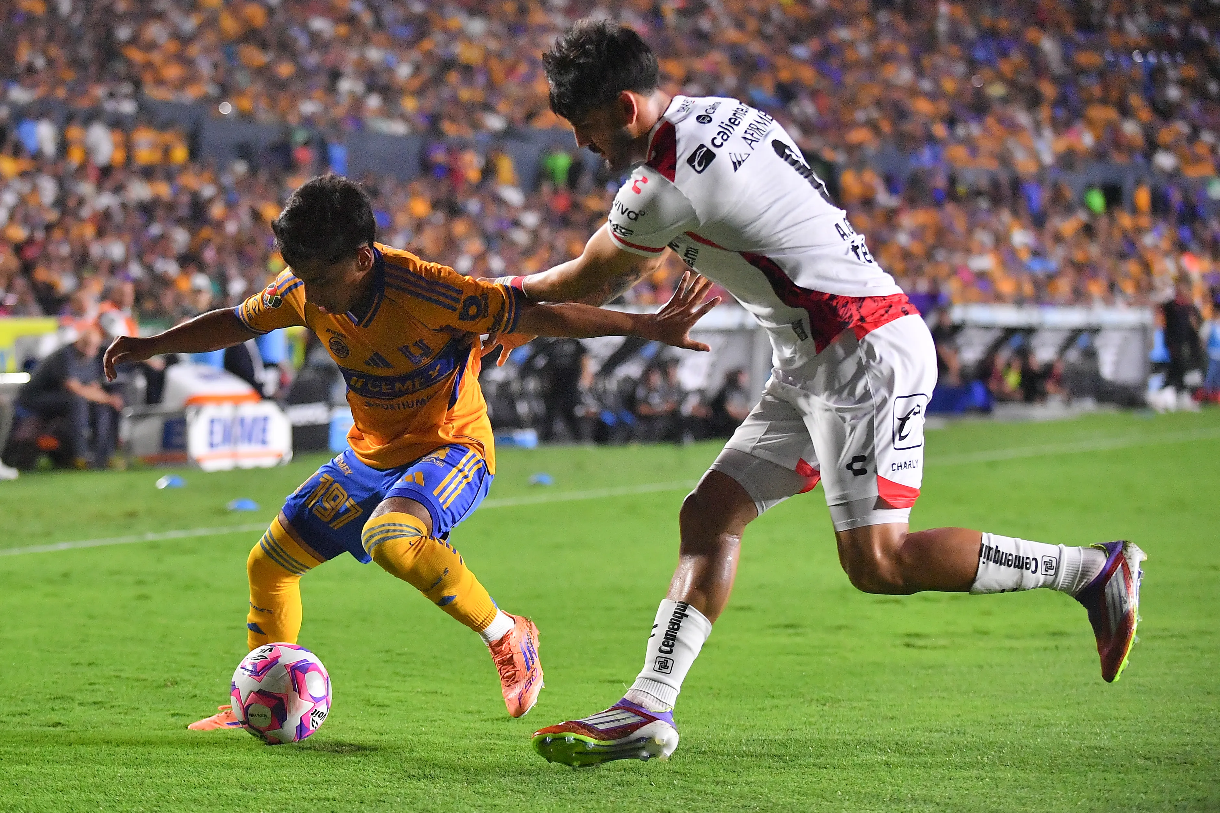 Tigres vs. Xolos, un duelo atrapante de Liguilla [Foto: Getty]