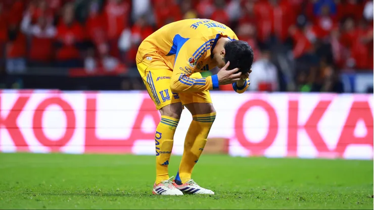 Nico Ibáñez se mantendría en Tigres