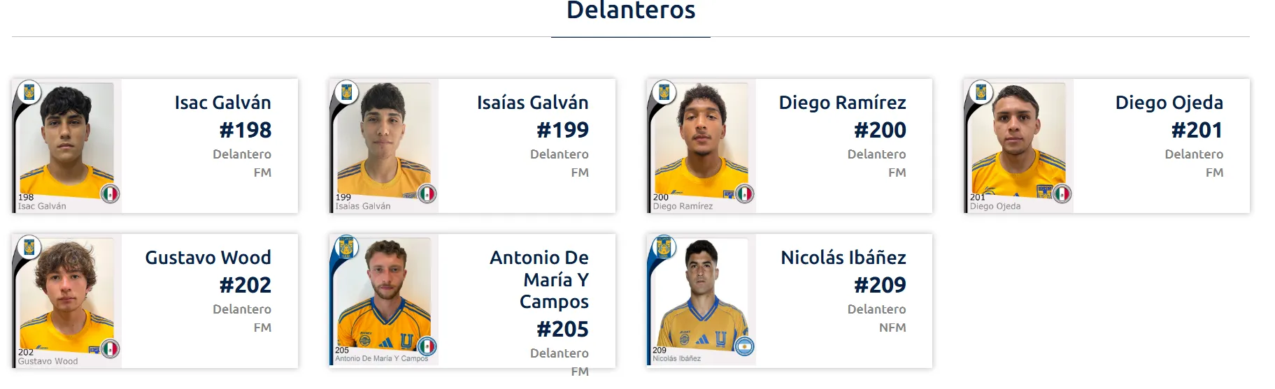 El registro de Ibáñez en la sub-21 de los Tigres UANL. [Foto: Liga MX]