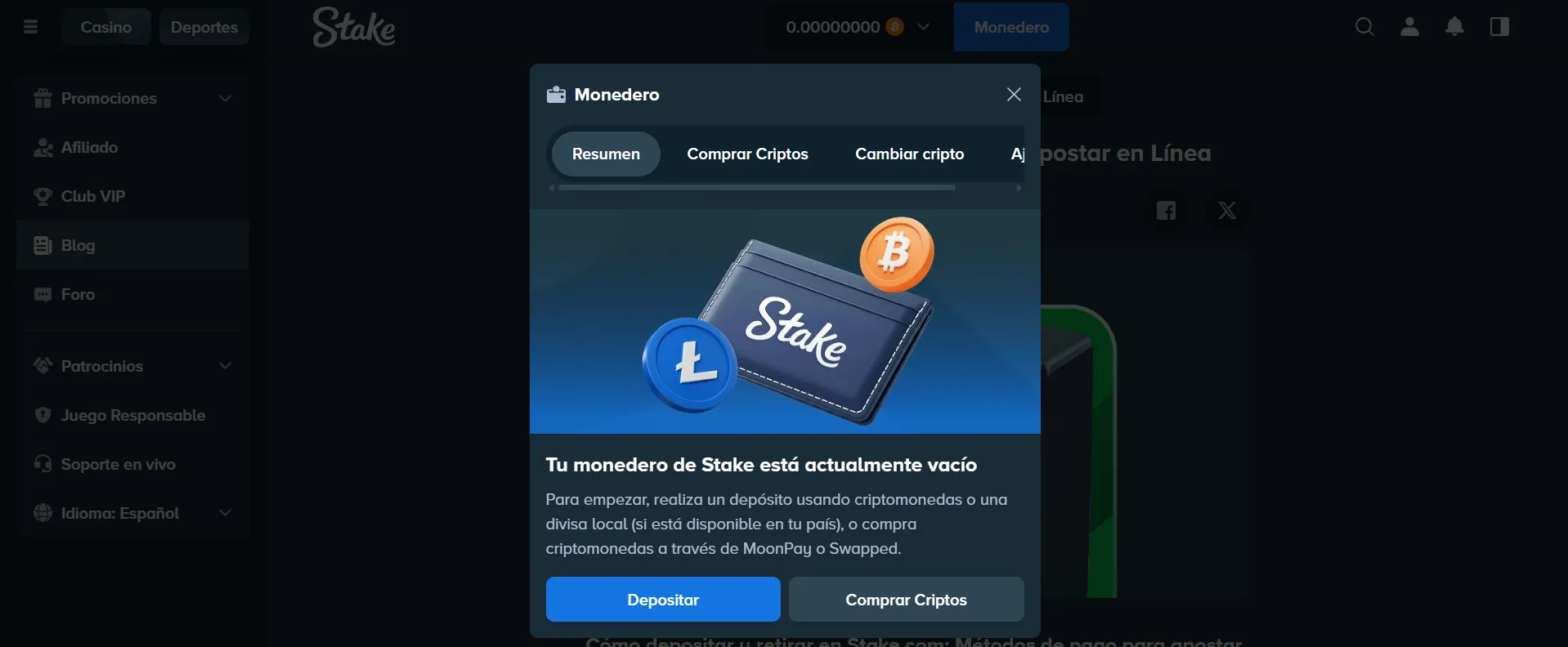 Métodos de pago Stake
