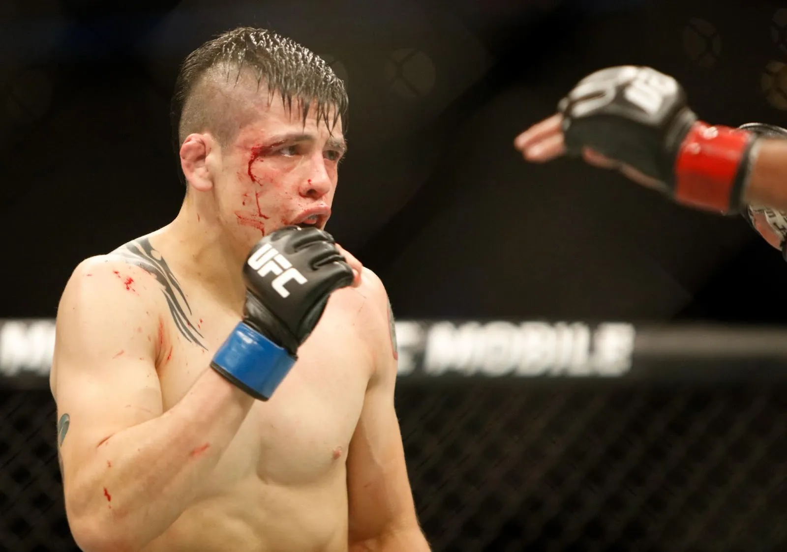 Combate UFC - Brandon Moreno