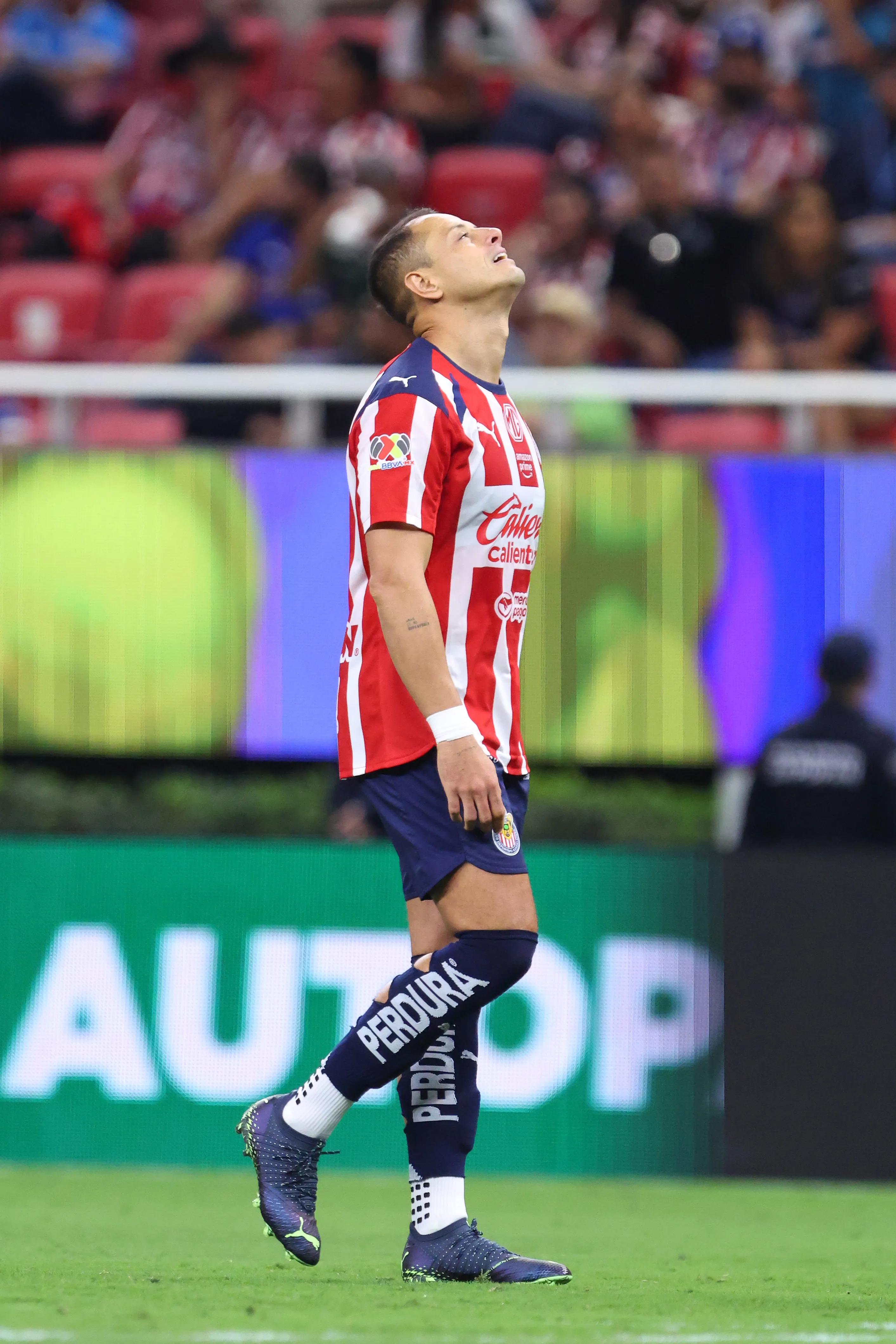 Chicharito en Chivas (Getty Images)