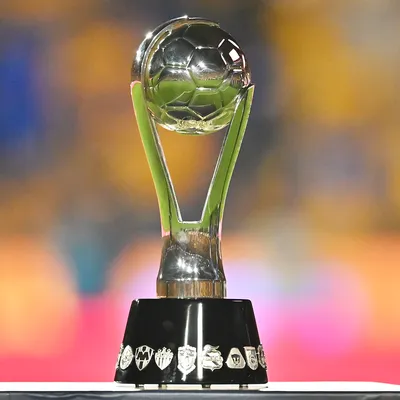 Un DT de la Liga MX fue suspendido por polémica acción para la Jornada 15