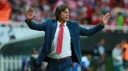 Matías Almeyda, favorito al banquillo albiazul.