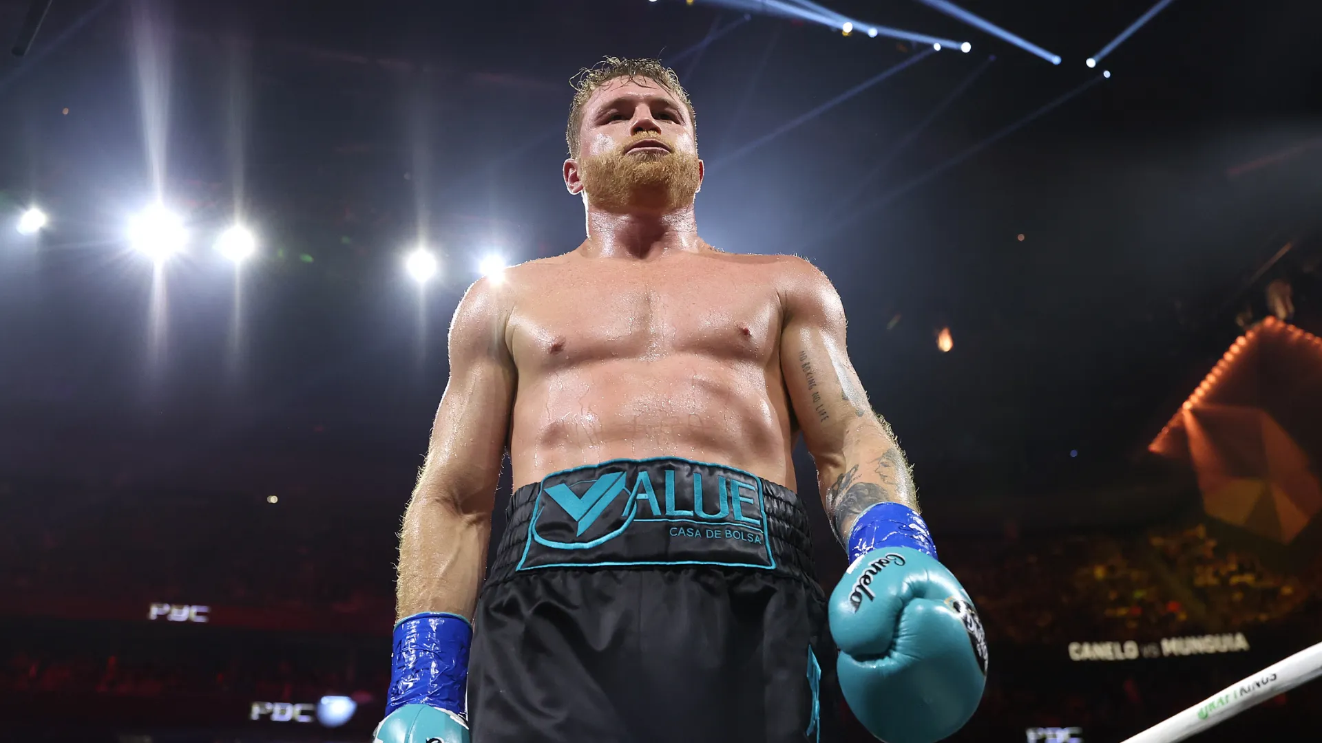 Canelo Álvarez busca volver a ser campeón del mundo. (GETTY IMAGES)