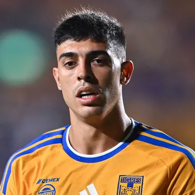 Tigres recibió una oferta millonaria por Juan Brunetta