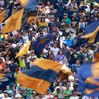 Afición de Pumas eligió al culpable del presente del equipo: “Ojalá se larguen”