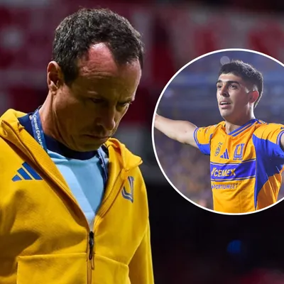 Gerardo Torrado habló de una salida de Brunetta de Tigres: "El mercado está..."