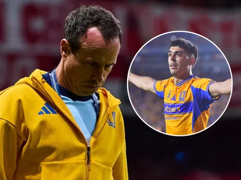 Gerardo Torrado habló de una salida de Brunetta de Tigres: "El mercado está..."